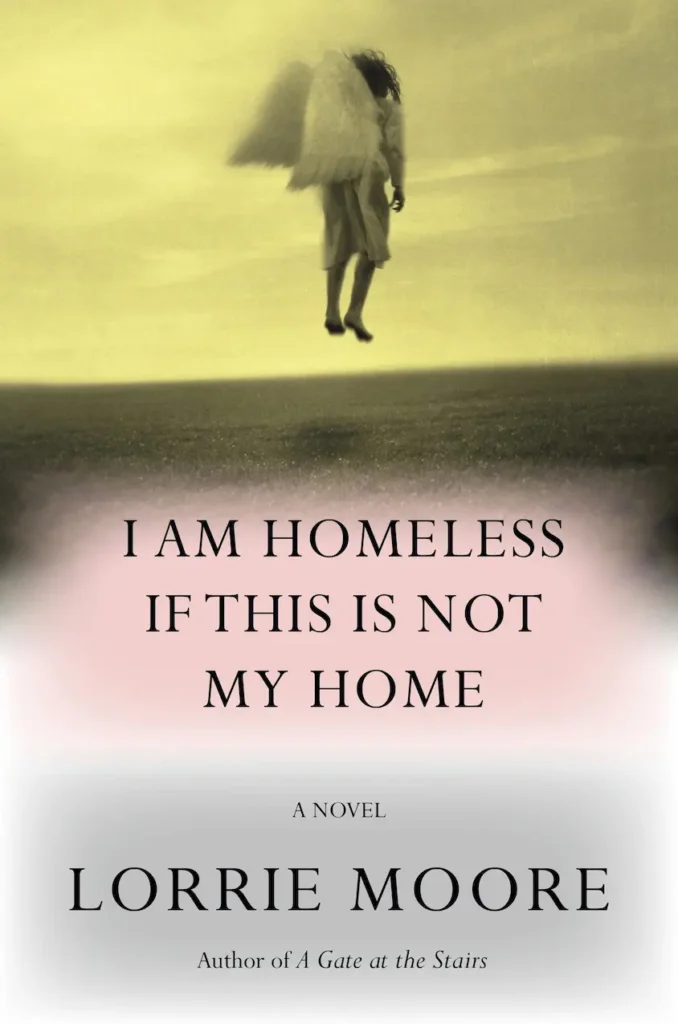 i am homeless if this is not my home lorrie moore