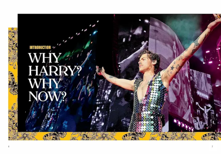 Harry Styles Harry Styles