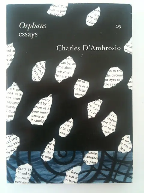 Orphans by author Charles D'Ambrosio author of The Dead Fish Museum