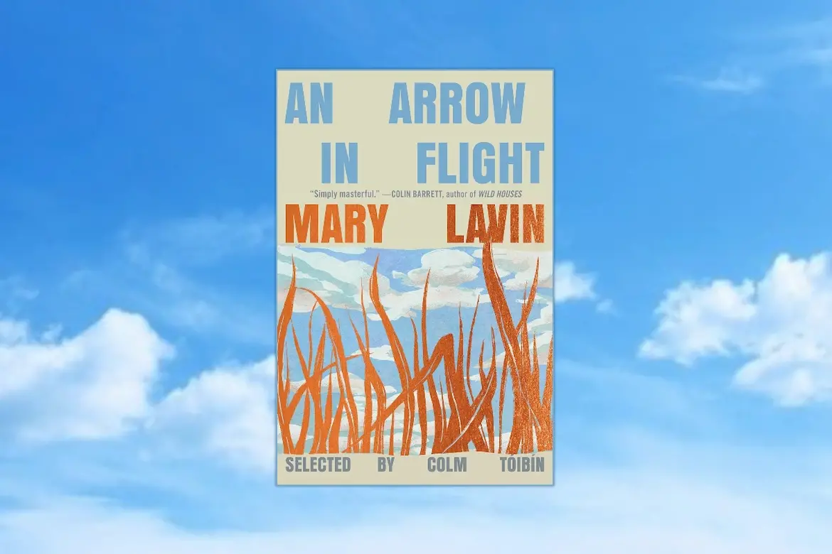 An Arrow in Flight by Mary Lavin, short stories book cover