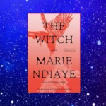 The Witch by Marie Ndiaye book cover