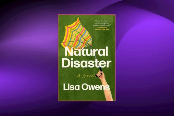 Natural Disaster by Lisa Owens cover