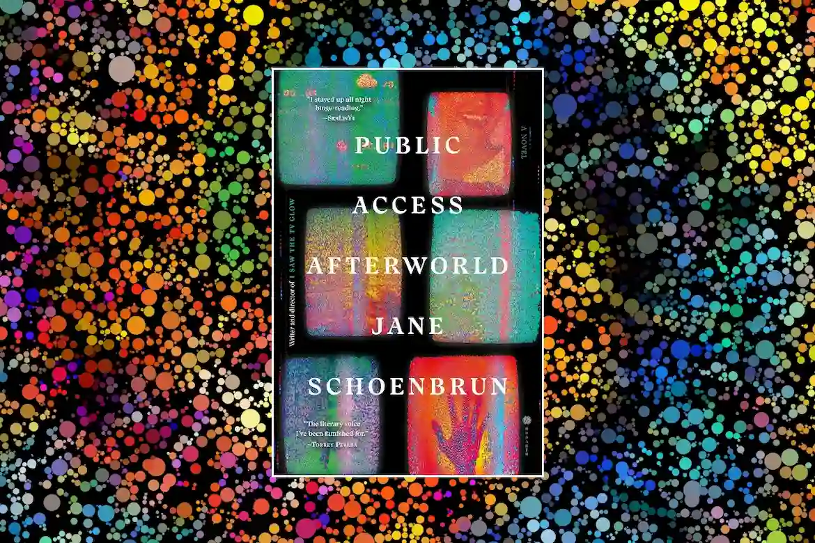 Public Access Afterworld by Jane Schoenbrun book cover